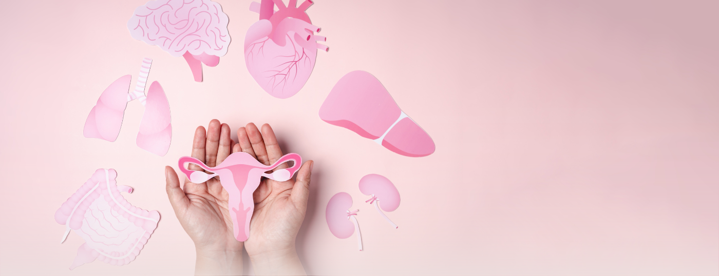 uterus