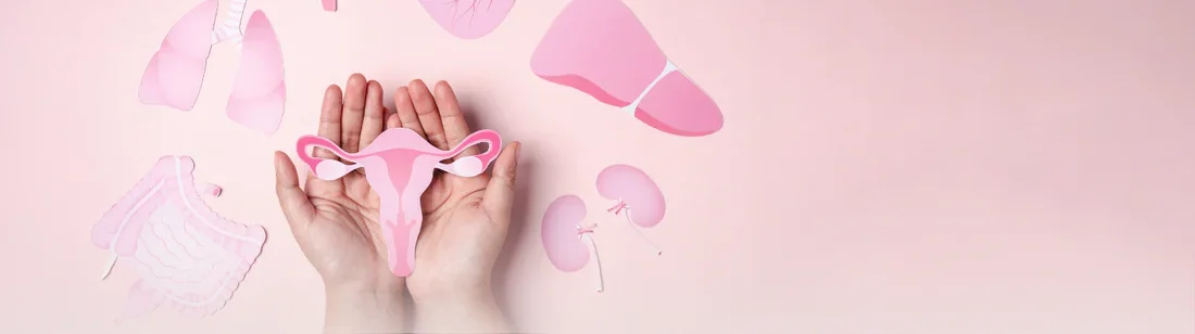 Woman holding uterus picture