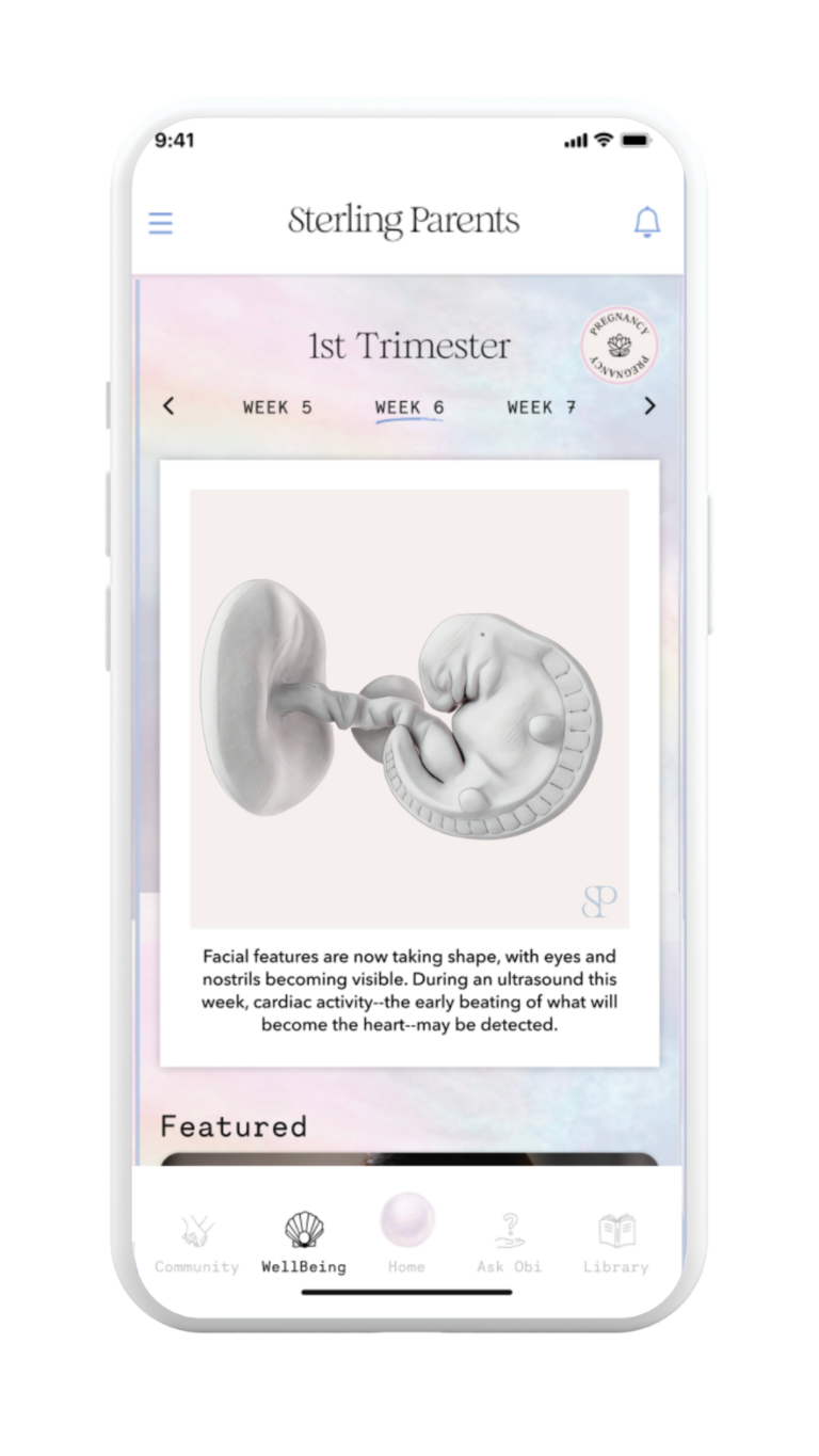 sterling parents app